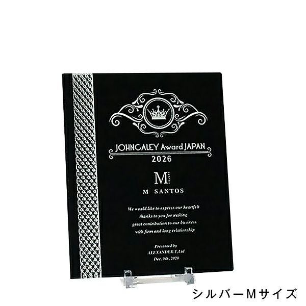 アクリルアワード プリズムプラーク シルバー　89APM