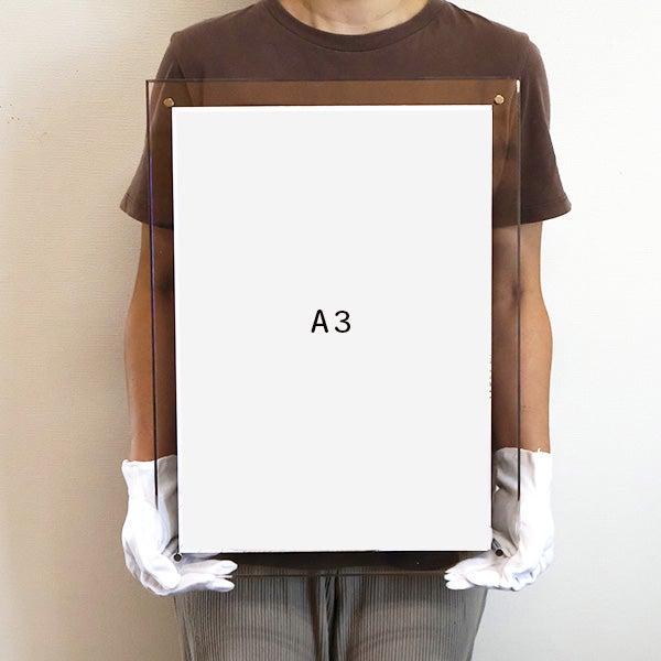 A3
