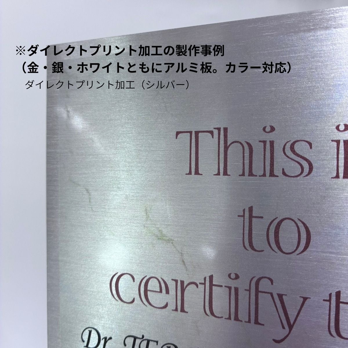 アクリル表彰楯 プレートサイズA4 86-5352acrylicplaque【認定証・店舗