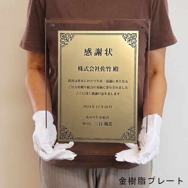 金樹脂プレート
