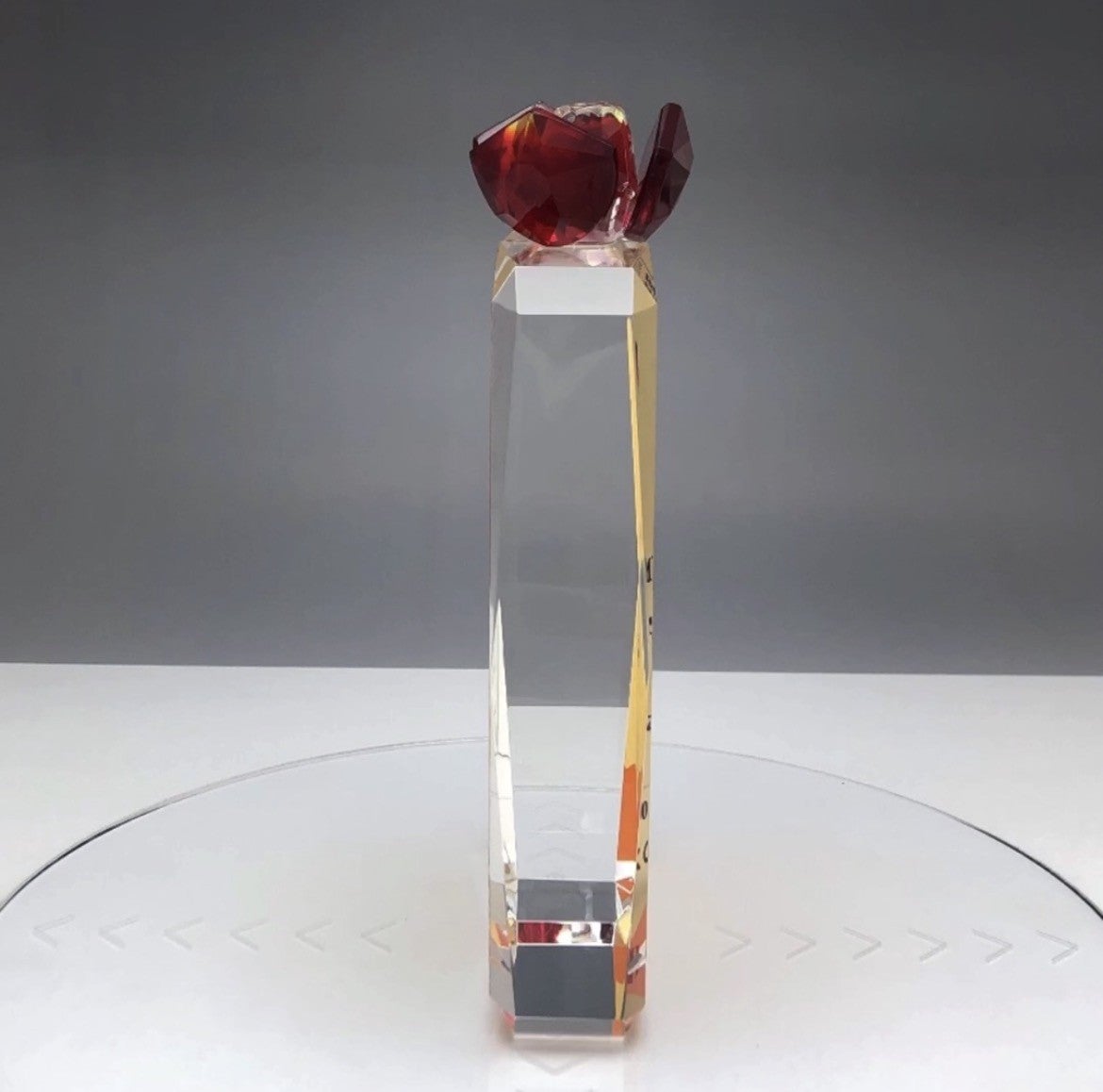 側面から見たトロフィー