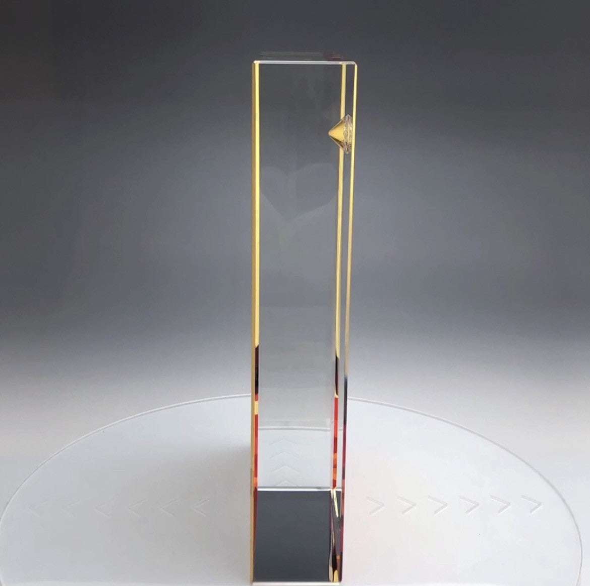 横から見たトロフィー