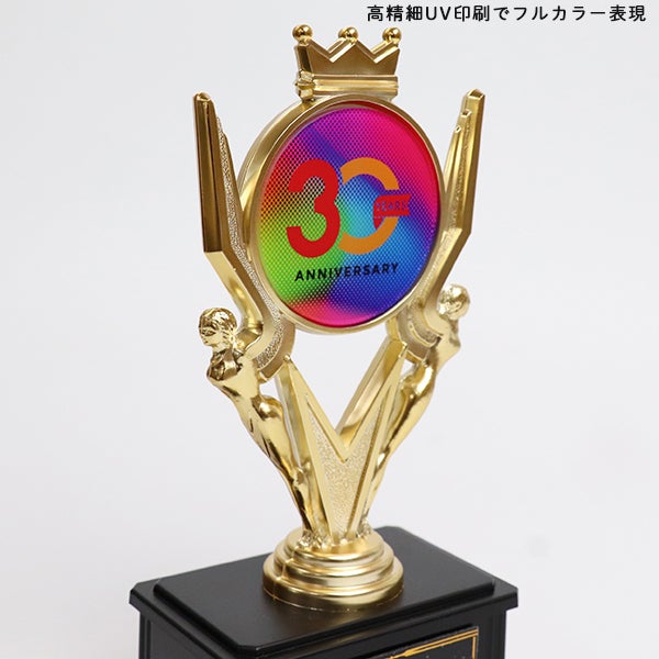カラー対応】オリジナルデザインができるトロフィー 85BV6436 高さ