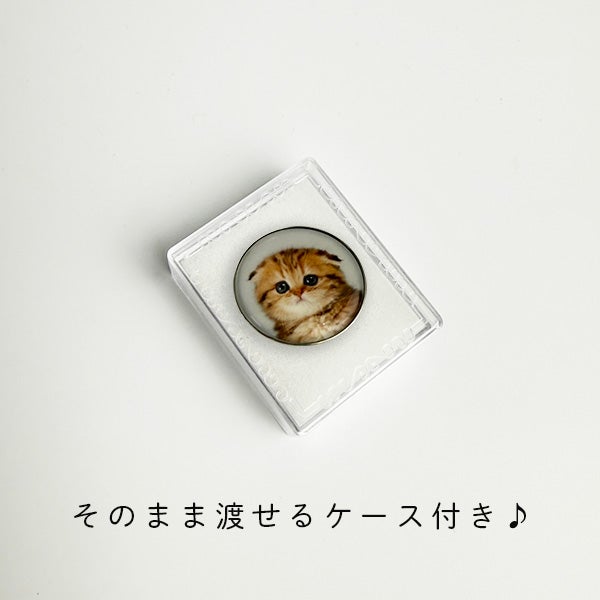 そのまま渡せるケース付き