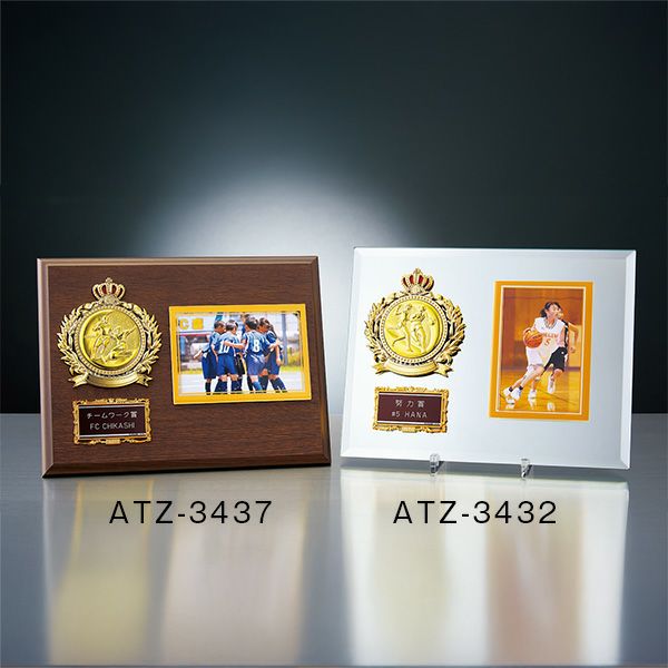写真が入る表彰楯(表彰盾) ATZ-4432 高さ205mm【種目が選べる】｜123