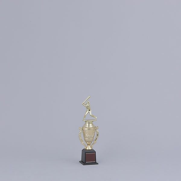 トロフィー TR-4309I 高さ265mm【選べる競技56種類・文字彫刻無料・短